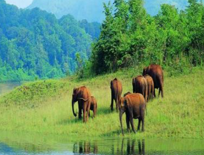 Koyna Wildlife Sanctuary